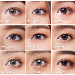 รุ่นเด็ดลายดัง เลนส์กรองแสง Kitty kawaii ฝาชมพู คุณภาพสูง mini Sheer Dreamy Olivia Jelly Soff Soft Ava Bom Gray Brown