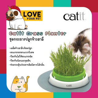 Catit Grass Planter ชุดปลูกข้าวสาลี ถาดปลูกหญ้าแมว(พร้อมเมล็ด) หญ้าแมว สำหรับแมวทุกสายพันธุ์