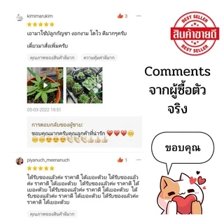 สารละลายAB สูตรพิเศษ โตเร็ว 1 ลิตร ยอดขายอันดับ 1 (A 1 ลิตร B 1 ลิตร) ถ้วยตวง เมล็ดผัก ไฮโดรโปนิกส์