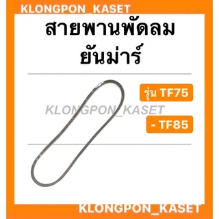 สายพาน ยันม่าร์ รุ่น TF75 TF85 สายพานพัดลมหม้อน้ำ สายพานพัดลมTF75 สายพานพัดลม สายพานTF85