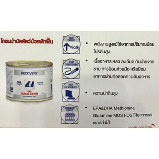 โปรดอ่านก่อนสั่ง Royal Canin Recovery 195g อาหารสัตว์ป่วย หรือพักฟื้น สุนัข และแมว 1 กระป๋อง