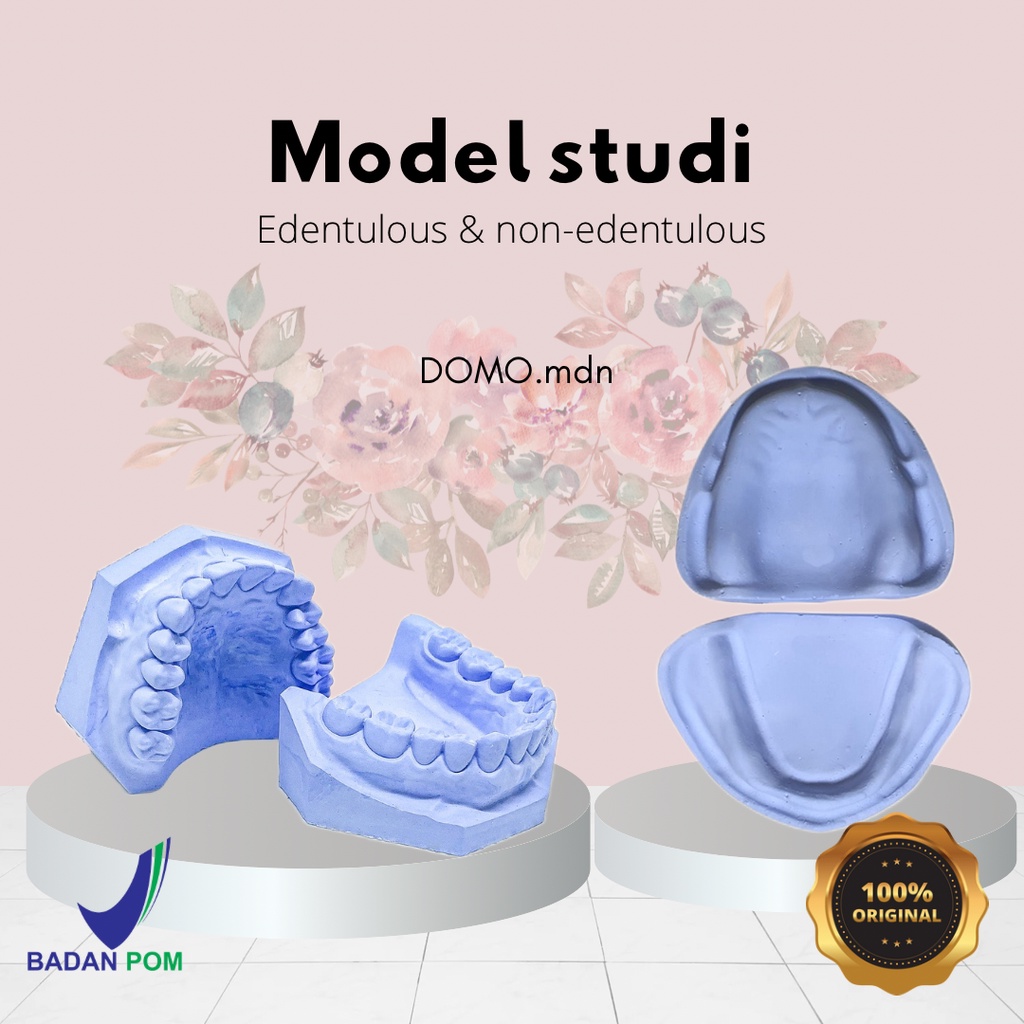 รุ่น STUDI DENTAL STONE GIPS BLUE EDENTULUS / UP TO M2 / M3 / 28 ฟัน / 32 ฟัน ยิปซั่มฟันกราม ompong 