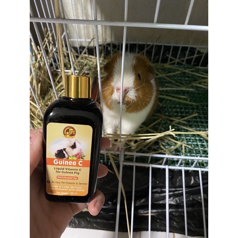 รูปภาพ 2