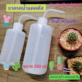 ขวดรดน้ำ อุปกรณ์แคคตัส ขนาด 250 ml ขวดรดน้ำแคคตัส ขวดรดน้ำ กระบองเพชร รดน้ำพร้อมส่ง ขวดรดน้ำต้นไม้