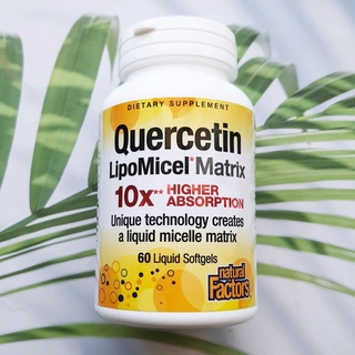 เควอซิทิน Quercetin LipoMicel Matrix 60 Liquid Softgels (Natural Factors®) เควอซิติน