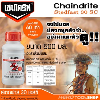 CHAINDRITE เชนไดร้ท์ สเตดฟาส 30 เอสซี ผลิตภัณฑ์กำจัดปลวก ชนิดผสมน้ำราดพื้น ขนาด 500 cc. (1/2 ลิตร)