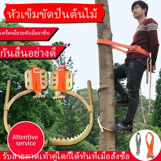 สิ่งประดิษฐ์ปีนต้นไม้ เครื่องมือปีนต้นไม้