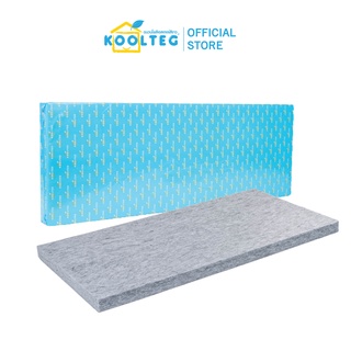 ARTKUSTEG ฉนวนกันเสียงรุ่น Wallteg 0.6 x 1.2 ม. หนา 50 มม.