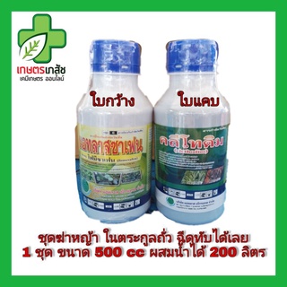 ชุดฆ่าหญ้าในตระกูลถั่ว ชุดเล็ก 500cc ฉีดทับถั่วได้ไม่ตาย