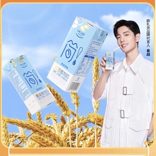 ꒰ พร้อมส่ง ꒱ OCAK Oatmilk เซียวจ้าน นมข้าวโอ๊ต 250ml