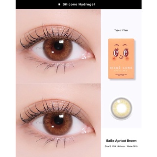 Babe Apricot Brown - สีน้ำตาลแอพพิคอต