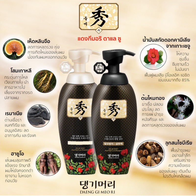 ✚Daeng Gi Meo Ri  Vitalizing(Jin Gi) 300ml / Hair Loss Care(Dlaesoo) 400ml แชมพูเกาหลี