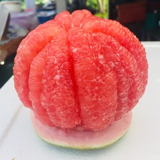 ราคา(pomelo fruit) ส้มโอทับทิมสยามจากลุมน้ำปากพนังไซร้1.5ก.ก