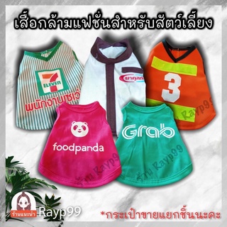 เสื้อผ้าสัตว์เลี้ยงแฟชั่น