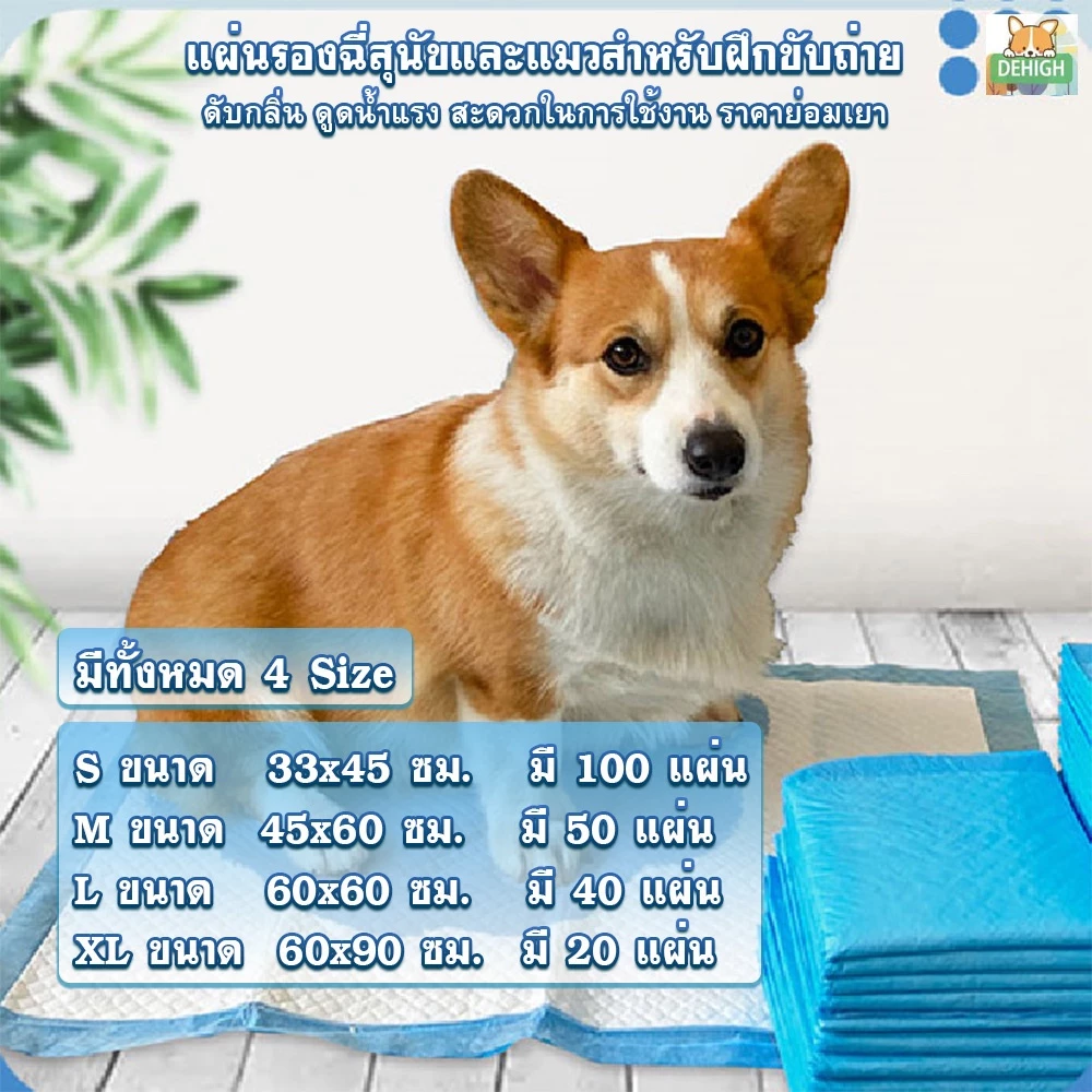 DEHIGH แผ่นรองฉี่สุนัข ช่วยฝึกขับถ่าย ซึมซับดี thumbnail 3