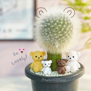 (พร้อมส่งในไทย) ตุ๊กตาหมี เลือกแบบได้ (size 2-4cm.) หมี ตุ๊กตาเทดดี้แบร์ teddy bear จัดสวนถาด