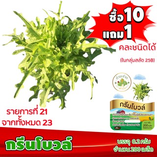 [ซื้อ10แถม1 + ฟรีคู่มือ] เมล็ดพันธุ์ กรีนโบวล์ GREEN BOWL  (0.2 กรัม 200 เมล็ด) ทำมะชาดฟาร์ม  ผักสลัด เมล็ดพันธุ์สลัด