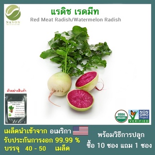 เมล็ดแรดิช เรดมีท  จำนวน 40-50 เมล็ด