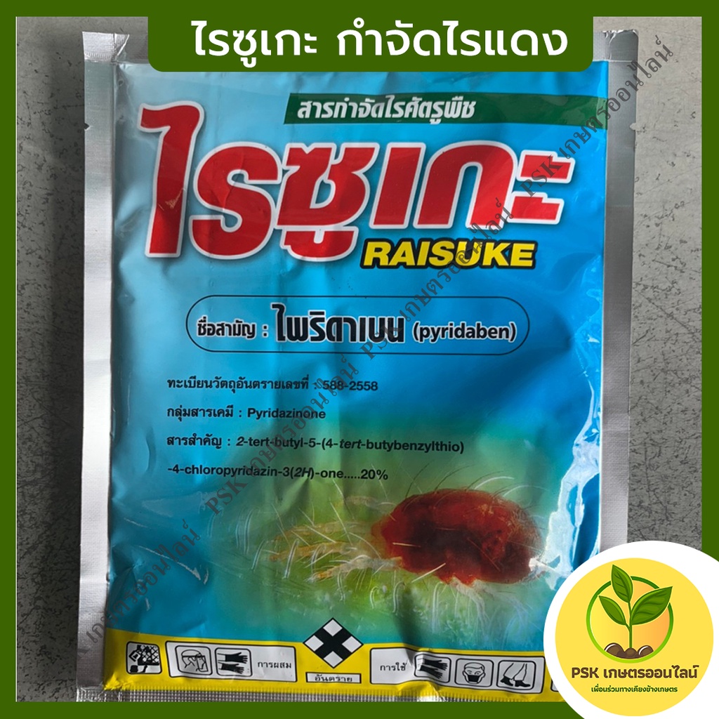 ไรซูเกะ กำจัดไรแดง 100กรัม. ไรแคคตัส ไรผัก ไรผลไม้ ค่าส่งถูก(PSK เกษตรออนไลน์)