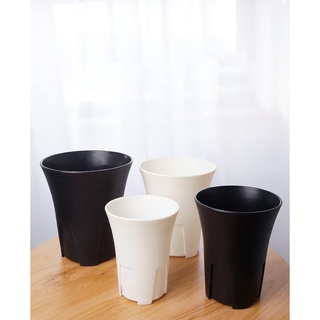 กระถางปากแตรทรงกระบอกทรงสูง กระถางพลาสติก กระบองเพชร แคคตัส CACTUS POTS-21