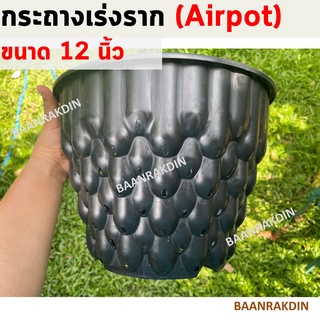 กระถาง Airpot ขนาด 12  นิ้ว สีดำ