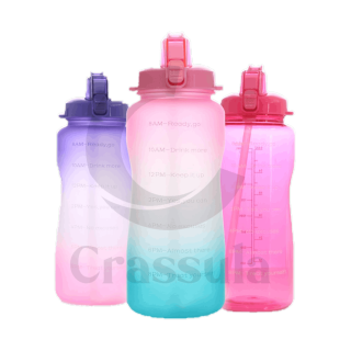 โปรโมชั่น : ขวดน้ำบอกเวลา 2L ขวดน้ำสีรุ้ง น้ำหนักเบา มีหลอดในตัว ปราศจาก สำหรับเล่นกีฬา ออกกำลังกาย
