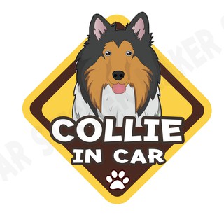 สติกเกอร์ติดรถ สติ๊กเกอร์ติดรถยนต์ สติกเกอร์หมา DGA77  Collie dog