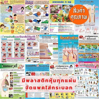 โปสเตอร์ อาหาร5หมู่ การแปรงฟัน ยาสามัญ ยาเสพติดให้โทษ สื่อเรียนรู้ สุขศึกษา และพลศึกษา โปสเตอร์กระดาษอาร์ตมัน