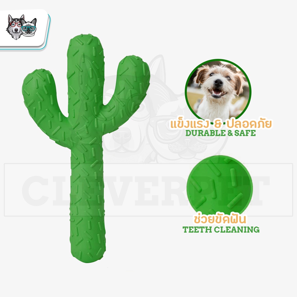 [พร้อมส่ง ] CACTUS ยางกัด ของเล่นสุนัข ช่วยขัดฟัน แข็งแรงและทน Dog Toy CleverPet