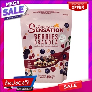 เนเจอร์ เซ็นเซชั่น เบอร์รี่ กราโนล่า 454 กรัม Natures Sensation Berry Granola 454 g.