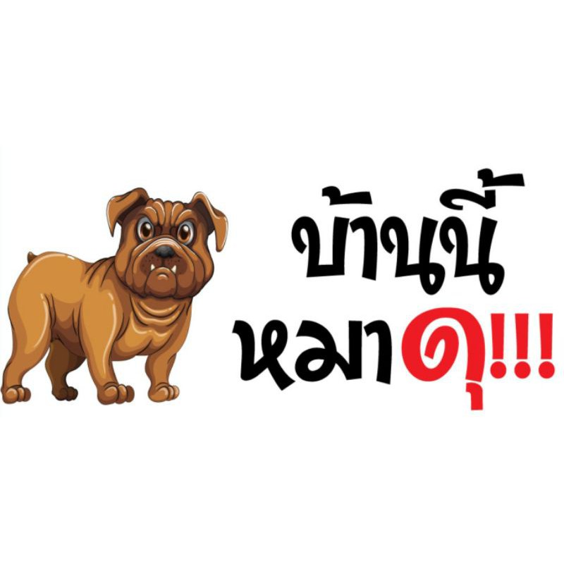 ดุหมา: 6 ข้อเสนอให้สุนัขของคุณมีความสุขที่สุด - Kcn Việt Phát
