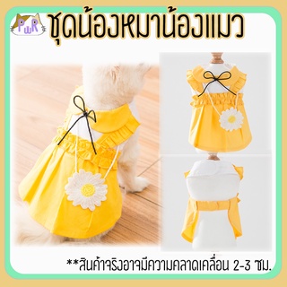 เสื้อหมา เสื้อแมว ชุดสัตว์เลี้ยง pet costume [ชุดเป้]