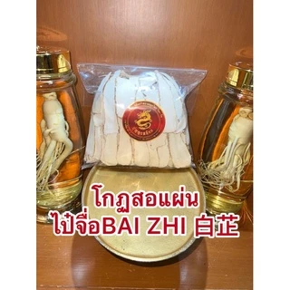 โกฐสอแผ่น ไป๋จื่อBAI ZHI 白芷 แปะจี้แผ่นหรือโกฏสอ โกฏสอแผ่น แปะจี้