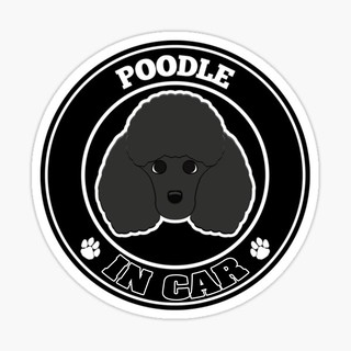 สติ๊กเกอร์ติดรถ แต่งรถ สติ๊กเกอร์ แม่เหล็กติดรถยนตร์ สติ๊กเกอร์หมา Poodle in Car  - DGC16