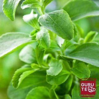 🍃 หญ้าหวานอบแห้ง ขนาดทดลอง 🍃 Stevia 🍃 ขนาด 12 กรัม