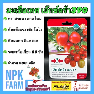 ผักซอง ศรแดง มะเขือเทศ เอ๊กซ์ตร้า 390 จำนวน 200 เมล็ด/ซอง เมล็ดพันธุ์ ลอตใหม่ งอกดี ต้นแข็งแรง โตไว ทรงผลสวย ติดผลดก