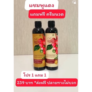 แชมพูสมุนไพรสารสกัดสีแดงRed velvet🍒ลดคันรังแคผมบางผมน้อยสร้างรากผมใหม่ บำรุงลึกถึงโคนผม⚡️