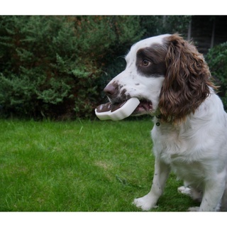 ROSEWOOD MEATY CHICKEN TAKEAWAY BONE