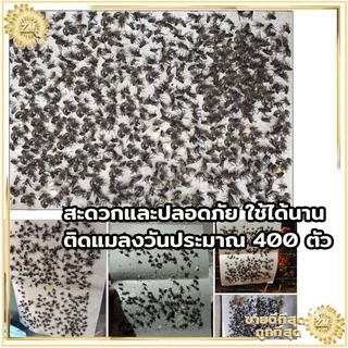 แผ่นกาวดักแมงวัน กาวดักแมลงวัน แผ่นกาวดักแมงวัน ที่ดักแมงวัน ที่ดักแมงวัน​แพ็คละ 10 แผ่น กาวดักแมลงวัน ถูกที่สุด