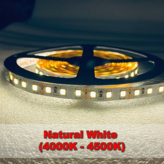 ไฟเส้น แอลอีดี ริบบิ้น Led Strip light SMD2835 (Natural White) ยาว 5เมตร