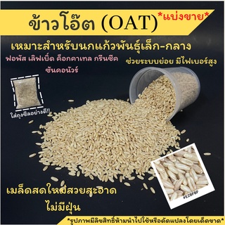 พร้อมส่ง!!ข้าวโอ๊ต(oat) อาหารนก อาหารเสริมสำหรับนก สะอาด ไร้ฝุ่น ใหม่(แบ่งขาย)