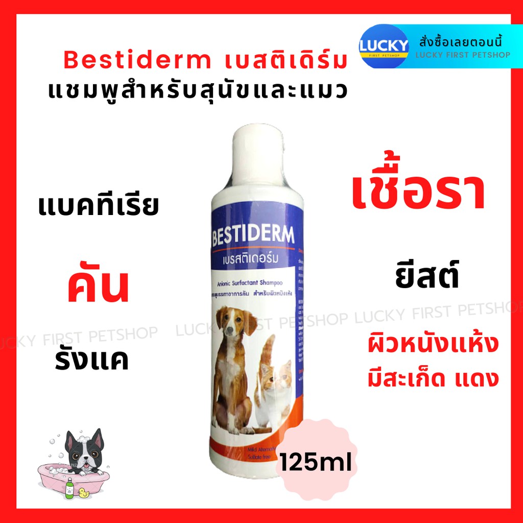 Bestideแชมพูแมว Bestiderm แก้คัน เชื้อรา แชมพูปัญหาผิวแมว แชมพูแก้แพ้ผิวหนังแมว คัน สะเก็ด แชมพูแก้ผื่นแดงแมว 125 ml