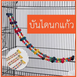 [พร้อมส่ง ]บันไดนกแก้ว ของเล่นนกแก้ว นกแก้วขนาดเล็ก บันไดของเล่นหลากสี