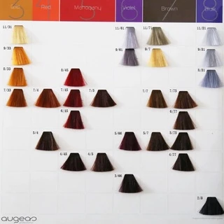 [ ครบทุกสี 68 สี ] สีย้อมผมออเกส AUGEAS ครีมย้อมสีผม ครีมเปลี่ยนสีผม A