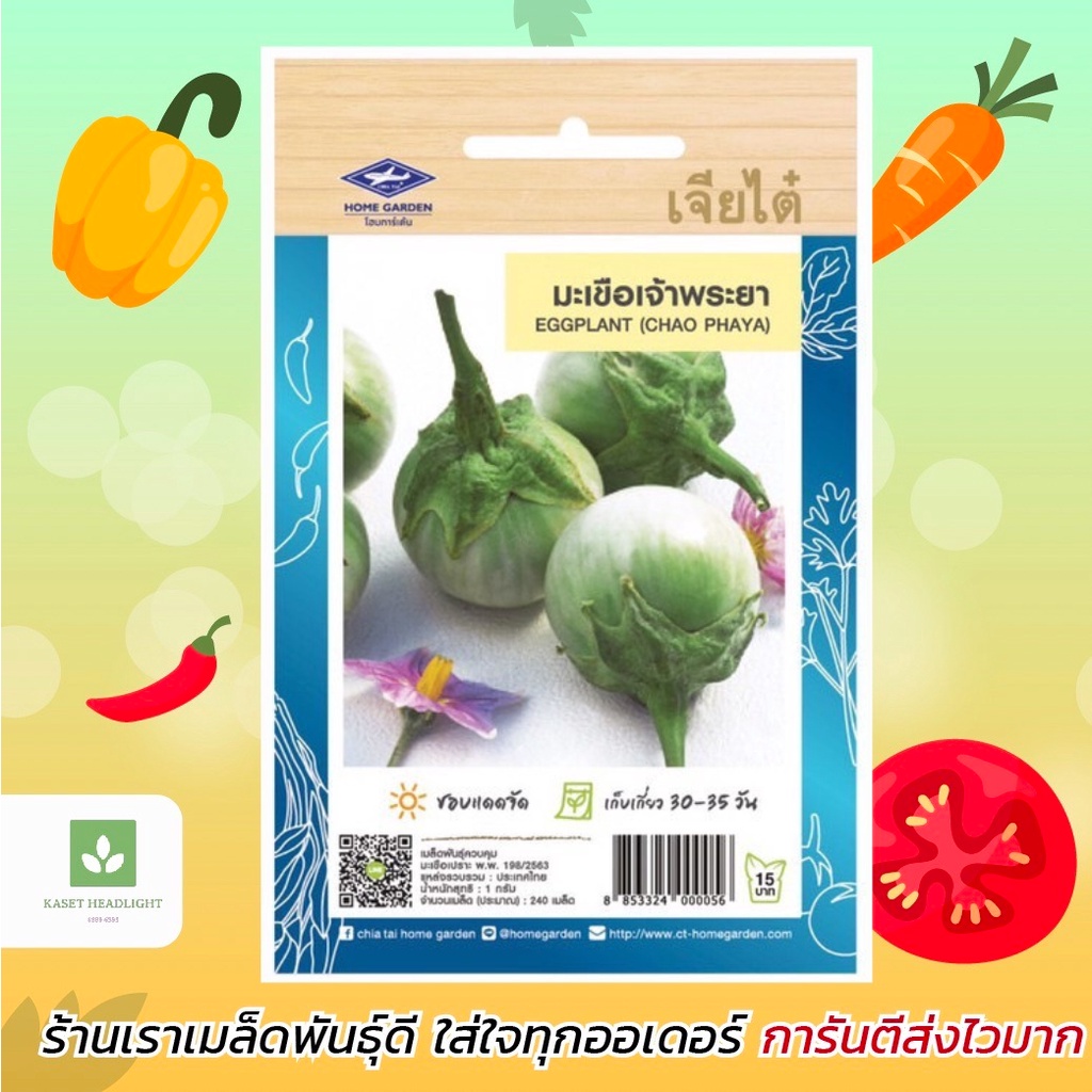 มะเขือเปราะ เจ้าพระยา เจียไต๋ เมล็ดพันธุ์มะเขือเปราะ มะเขือ