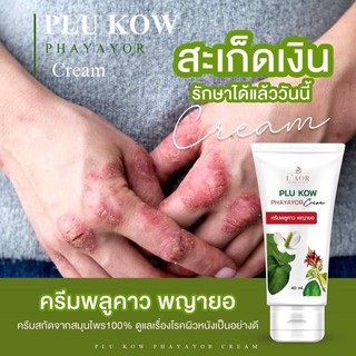 ครีมพลูคาวพญายอ  ครีมพลูคาวพยายอ สะเก็ดเงิน ผิวหนังอักเสบ Pla kow  40 ml (1 หลอด)  🎇 ส่งด่วนส่งไว 🚚🚛