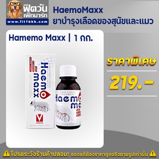 วิตามินบำรุงเลือด HaemoMaxx ยาบำรุงเลือด สำหรับสุนัขและแมว ขนาด 100 มล.