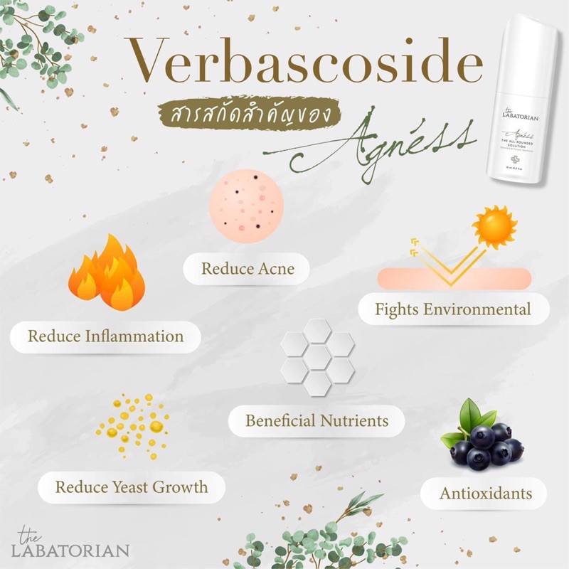 the labatorian acne serum