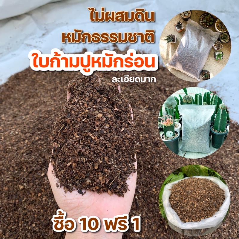 ใบก้ามปูหมักธรรมชาติ ร่อนละเอียด 1 กิโลกรัม ใบก้ามปูล้วนละเอียดแห้ง ส่วนผสมในดินปลูก