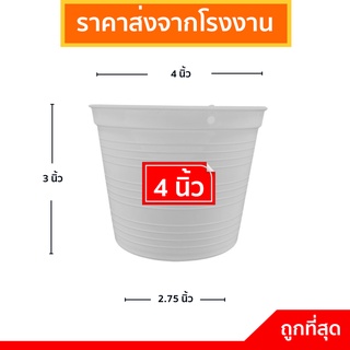 กระถางต้นไม้พลาสติก กระถางต้นไม้สีขาว กระถาง สีขาว 4 นิ้ว